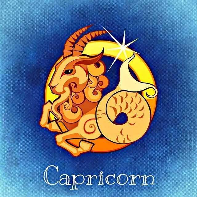 capricorn 759379 640