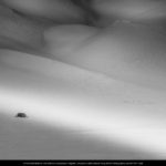 screenshot 321